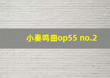 小奏鸣曲op55 no.2